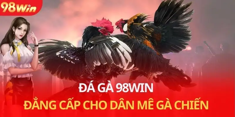đá gà 98win